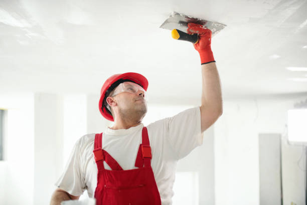 Best Drywall Installation  in Bromley, KY