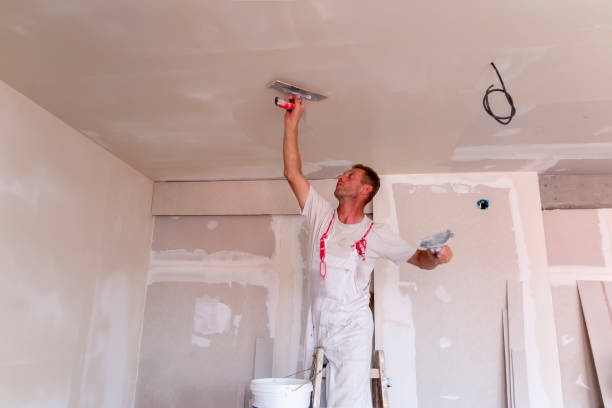 Best Ceiling Drywall Installation  in Bromley, KY